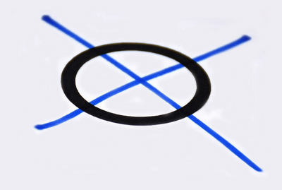 Wahlen & Abstimmungen