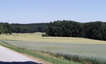 Bild bei Schattenhofen