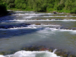 Bild am Wildfluss der Mangfall