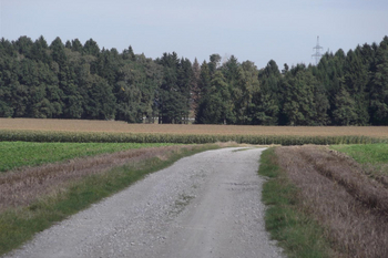 Wanderweg nach Markt Schwaben